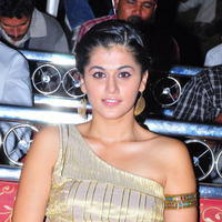 Taapsee Pannu - Mogudu Audio Launch Function - Pictures | Picture 100389
